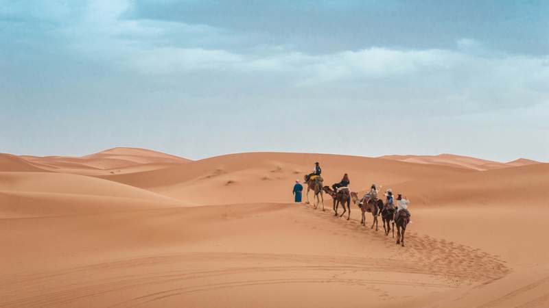 Homepage for Travel Tourism & Activities desert safaris